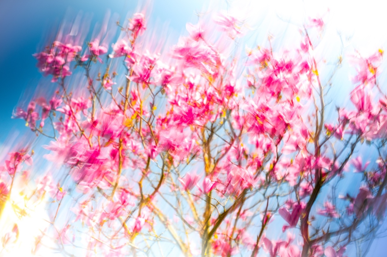AIR DE PRINTEMPS III